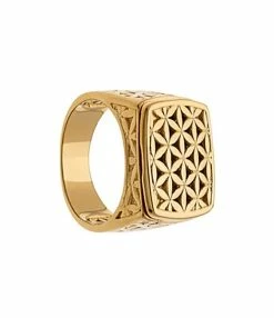 LES FÉLICITÉS Chevalière Harmonie 7 Pierres De Protection